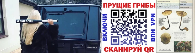 как найти наркотики  Алдан  omg как войти  Псилоцибиновые грибы мицелий 
